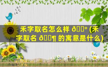 禾字取名怎么样 💮 (禾字取名 🐶 的寓意是什么)